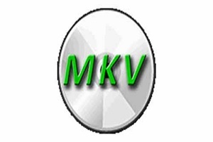 MakeMKV 1.15.4 Crack Key + Registration Code 2021 [100% Working]