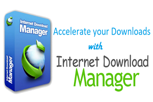 IDM Crack with Internet Download Manager 6.42 Build 22 [2025]