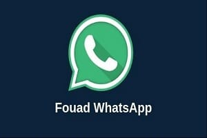 Fouad WhatsApp Latest Version v9.71 APK Free Download