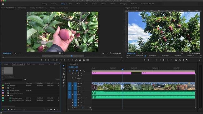 Premiere Pro Crack v24.2 Full Version Download for Windows