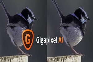 Topaz Gigapixel AI Crack v8.0.1 Full version for Win/mac [2025]