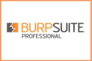 Burp Suite Professional Crack v2024.3.1.1 Free Download