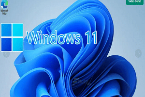 Windows 11 Professional Preactivated 2025 Download 64 Bit